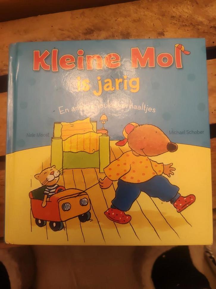 Kleine Mol is jarig - Leuk voorleesboek, Boeken, Kinderboeken | Baby's en Peuters, Gelezen, 2 tot 3 jaar, Uitklap-, Voel- of Ontdekboek