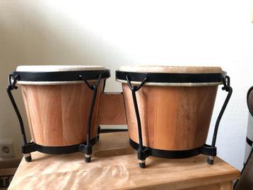 bongo set beschikbaar voor biedingen