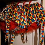 6 kleurrijke carnavalspakken voor kleine groep, Ophalen of Verzenden, Zo goed als nieuw, Carnaval