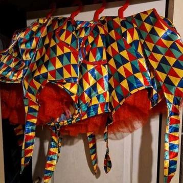 6 kleurrijke carnavalspakken voor kleine groep  beschikbaar voor biedingen