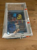 Goede deal, complete kooi voor knaagdieren, Dieren en Toebehoren, Kooi, Minder dan 75 cm, Zo goed als nieuw, Hamster