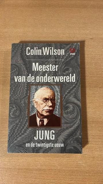 Meester van de onderwereld Jung en de twintigste eeuw. Wilso beschikbaar voor biedingen