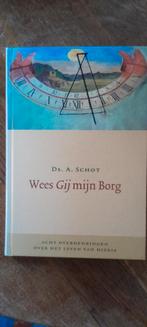 Wees Gij mijn Borg - Ds. A. Schot, Ophalen of Verzenden, Zo goed als nieuw, Ds. A. Schot, Christendom | Protestants