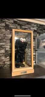 Mooie Kaws Take Black, Ophalen of Verzenden, Zo goed als nieuw