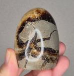 Septarie sculptuur, Ophalen of Verzenden