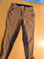 Bruine paardrijbroek- Equistrian Society - 42 (40), Dieren en Toebehoren, Paardrijkleding, Gebruikt, Overige soorten, Ophalen of Verzenden