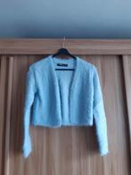 Lichtblauw Vestje - Sisters Knitwear XS, Blauw, Ophalen of Verzenden, Zo goed als nieuw, Sisters Knitwear