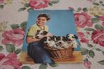 Honden Postkaart - Jonge met 4 Foxterrier Pups, Italië, Verzenden, 1960 tot 1980, Gelopen, Hond of Kat
