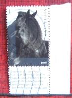 persoonlijke postzegel,   PAARD  gestempeld., Ophalen of Verzenden, Gestempeld