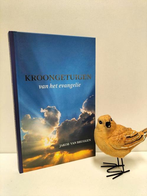 Bruggen, Jakob van; Kroongetuigen van het evangelie, Boeken, Godsdienst en Theologie, Gelezen, Christendom | Protestants, Ophalen of Verzenden