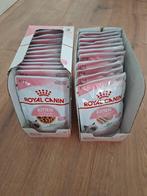 Royal Canin natvoer voor kittens (4 tot 12 maanden), Ophalen of Verzenden, Kat