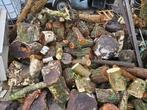 Brandhout - Haardhout, 3 tot 6 m³, Ophalen, Overige houtsoorten, Stammen