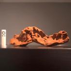 Mooi stuk Kienhout / Driftwood / Spiderwood, Hout Decoratie, Ophalen of Verzenden, Zo goed als nieuw, Plant(en), Steen of Hout