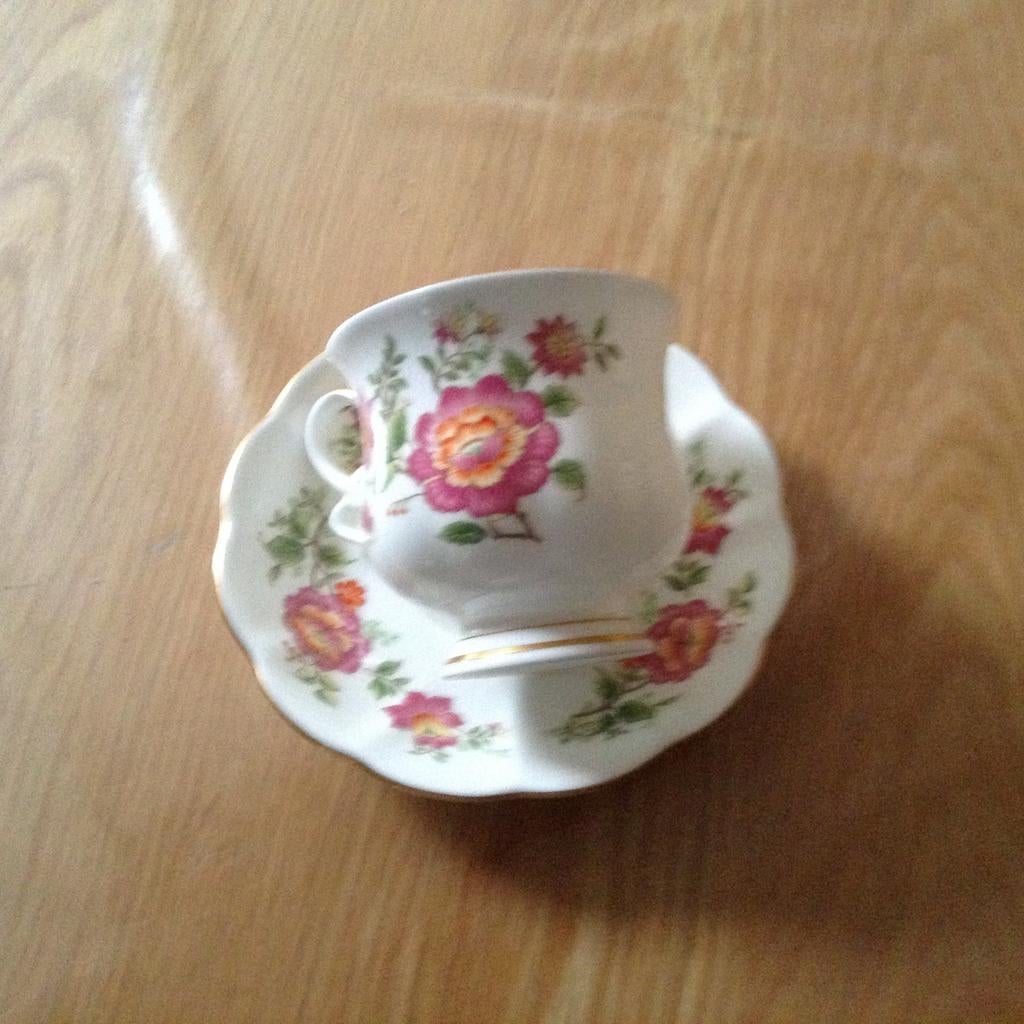 Kop en schotel INDIAN ROSE  - Royal Ascot -, Ophalen of Verzenden, Zo goed als nieuw, Overige stijlen, Kop(pen) en/of Schotel(s)