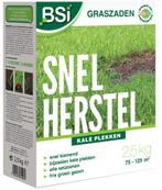 Graszaad Snel Herstel - voor het bijzaaien van kale plekken, Verzenden, Nieuw, 20 m² of meer