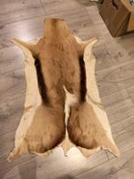 Springbok huid, Ophalen of Verzenden, Gebruikt, Rechthoekig, 50 tot 100 cm