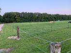 Weide gezocht omgeving Dussen, Dieren en Toebehoren