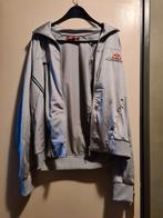 Retro Puma Red Bull Racing jacket, Gedragen, Grijs, Overige typen, Ophalen of Verzenden