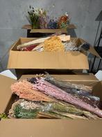 Lot nieuwe droogbloemen, Huis en Inrichting, Woonaccessoires | Droogbloemen, Ophalen, Nieuw