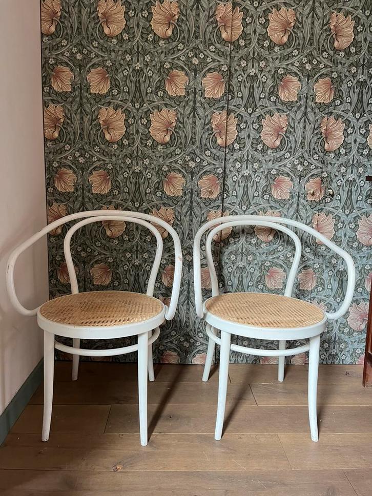 2 Vintage Thonet stoelen – Model No. 102 / Vienna – Wit, Huis en Inrichting, Stoelen, Gebruikt, Twee, Hout, Bruin, Ophalen