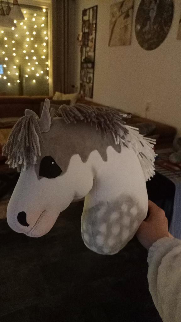 BBS Hobbyhorse tekoop!, Hobby en Vrije tijd, Overige Hobby en Vrije tijd, Ophalen of Verzenden