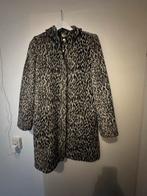 Jas Maura Maat 38 - Weinig Gedragen, Kleding | Dames, Jassen | Zomer, Ophalen of Verzenden, Gedragen, Maat 38/40 (M), Overige kleuren