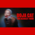 Doja Cat | Staanplaats Tickets (2×) | 19/06/24 | Ziggo Dome, Tickets en Kaartjes, Juni, Twee personen