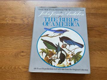 Birds of America by James Audubon beschikbaar voor biedingen