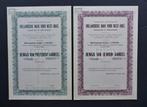Hollandsche Bank voor West Indie - 1918, Postzegels en Munten, Aandelen en Waardepapieren, Verzenden, Voor 1920, Aandeel