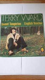 2221 terry ward - sweet tangerine - english teacher, Pop, Gebruikt, Verzenden