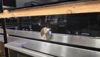 Siemens inbouw combi-oven CM636GNS1, Refurbished, Oven met grill, Inbouw, 45 tot 60 cm