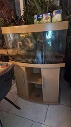 Groot Aquarium met onderkast en toebehoren., Dieren en Toebehoren, Vissen | Aquaria en Toebehoren, Ophalen, Gebruikt, Leeg aquarium