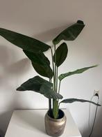 Strelitzia Kunstplant - incl pot, Overige soorten, In pot, Minder dan 100 cm, Groene kamerplant
