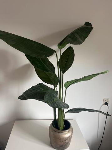 Strelitzia Kunstplant - incl pot beschikbaar voor biedingen