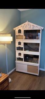 Cavia hok 3 verdiepingen met kast begaande grond+ Bakjes etc, Dieren en Toebehoren, Knaagdieren en Konijnen | Hokken en Kooien