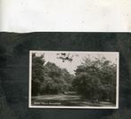 Ansicht Rijssen - Weg in Schwarzwald, Verzenden, Ongelopen, Overijssel