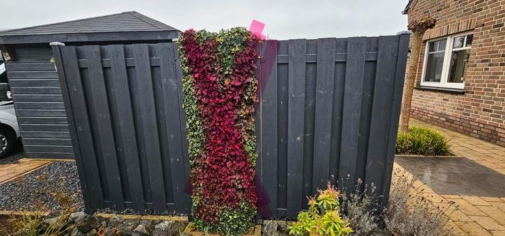 2 schutting delen, Tuin en Terras, Schuttingen, Gebruikt, Hout, 1 tot 2 meter, 6 meter of meer, Ophalen