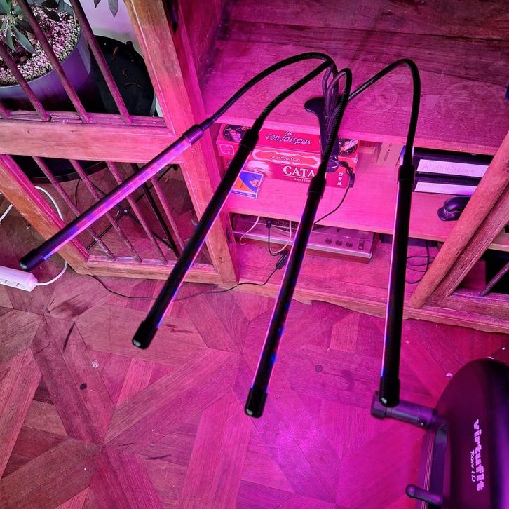 Led Groeilamp met Timer & Helderheid, Tuin en Terras, Tuinstekers, Nieuw, Ophalen of Verzenden