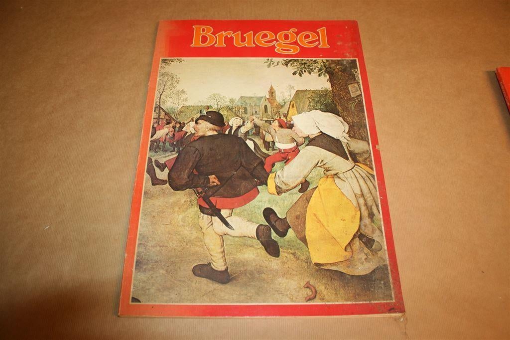 Bruegel - Extra groot formaat - 103 afbeeldingen, Ophalen of Verzenden, Gelezen