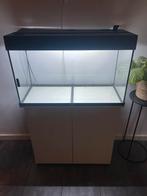 Juwel Rio 125 Aquarium, Ophalen, Leeg aquarium