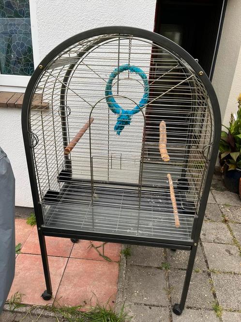 Papegaaien/ grote parkieten kooi, Dieren en Toebehoren, Vogels | Hokken en Kooien, Zo goed als nieuw, Vogelkooi, Metaal, Ophalen