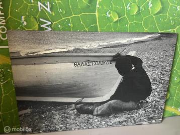 Afbeelding/foto - 83x85cm beschikbaar voor biedingen