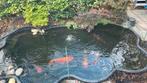 Vijver 3500 L, Tuin en Terras, Vijvers, Ophalen, Gebruikt