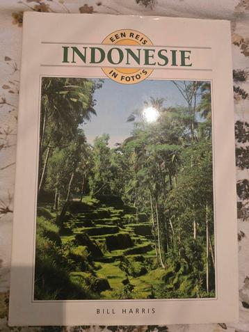 Reisgids Indonesië - Ontdek het paradijs! beschikbaar voor biedingen