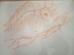 Naakt tekening vrouw, Verzenden