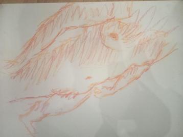 Naakt tekening vrouw beschikbaar voor biedingen