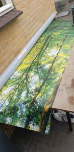 Wandposter Bos - Nieuw!, Ophalen, Nieuw, 125 cm of meer, Foto of Poster
