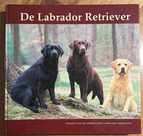 De labrador retriever - R.M.Lubbers, Boeken, Dieren en Huisdieren, Gelezen, Honden, Ophalen of Verzenden