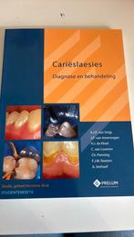 J.P. van Amerongen - Carieslaesies-studenteneditie, Boeken, Ophalen of Verzenden, Zo goed als nieuw, J.P. van Amerongen; C. Loveren; A.J.P. van Strijp; H.J. de Kloet