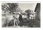 V20 Veluwe bij de waterput, Ophalen of Verzenden, 1940 tot 1960, Gelopen, Gelderland